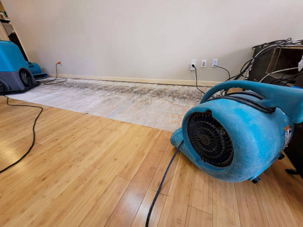 Professional Flood Damage Cleanup technician working in Glen Ellen, CA